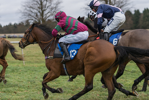 Race 1 - Veteran Horses Conditions (24 of 50)