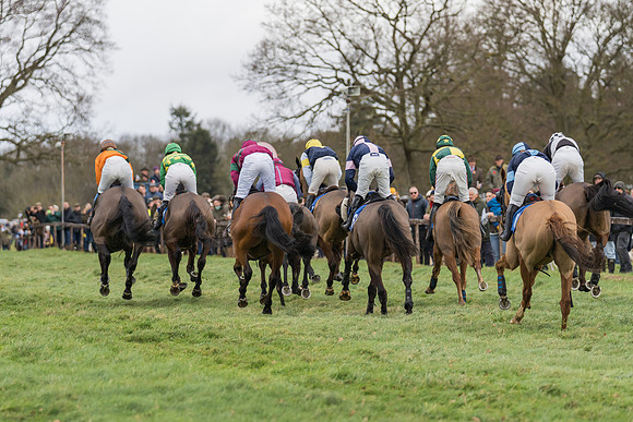 Race 1 - Veteran Horses Conditions (25 of 50)