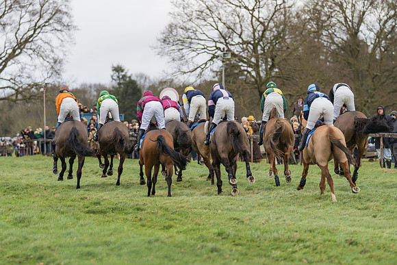 Race 1 - Veteran Horses Conditions (26 of 50)