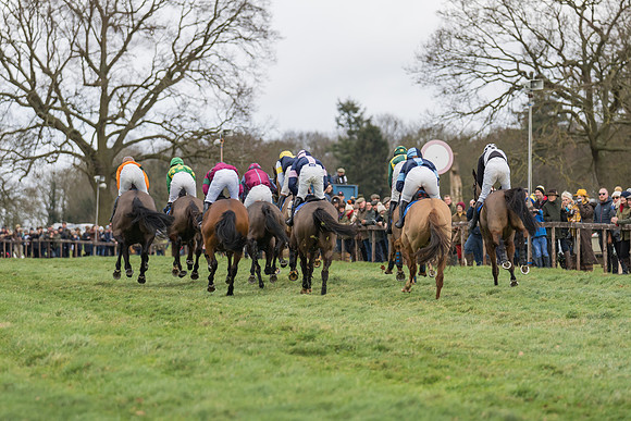 Race 1 - Veteran Horses Conditions (27 of 50)
