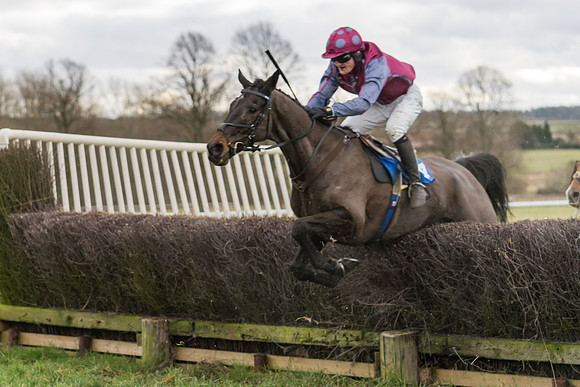 Race 1 - Veteran Horses Conditions (37 of 50)