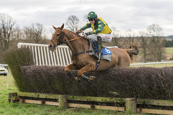Race 1 - Veteran Horses Conditions (38 of 50)