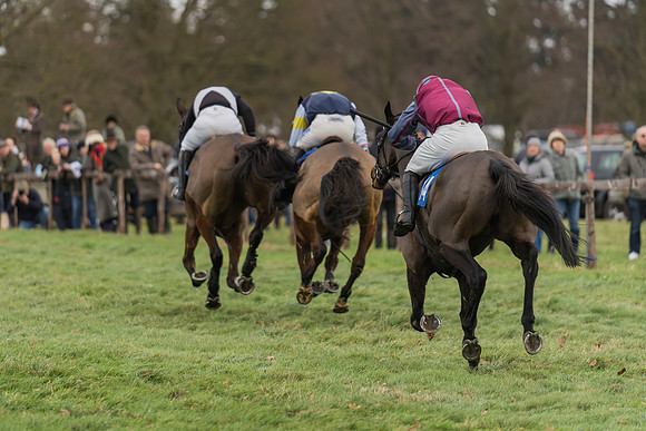 Race 1 - Veteran Horses Conditions (45 of 50)