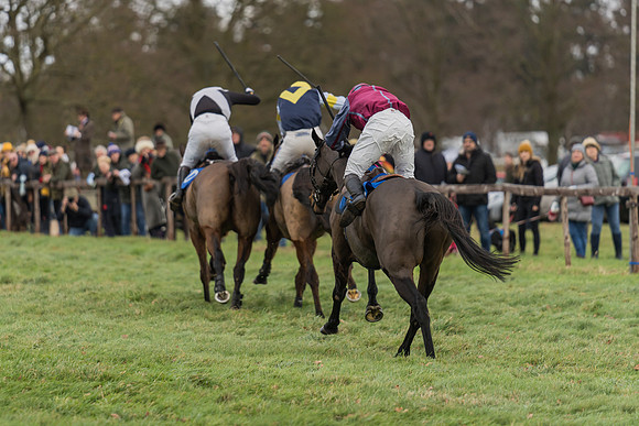 Race 1 - Veteran Horses Conditions (46 of 50)