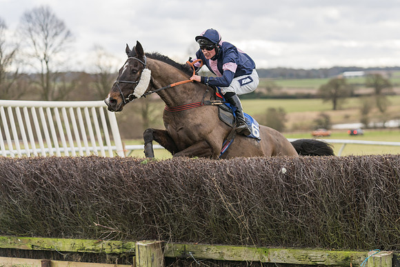 Race 1 - Veteran Horses Conditions (48 of 50)