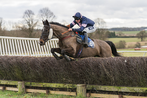 Race 1 - Veteran Horses Conditions (49 of 50)