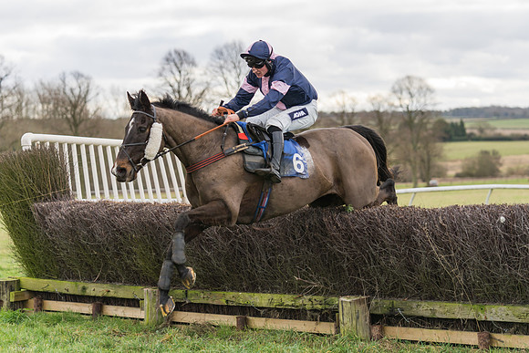 Race 1 - Veteran Horses Conditions (50 of 50)