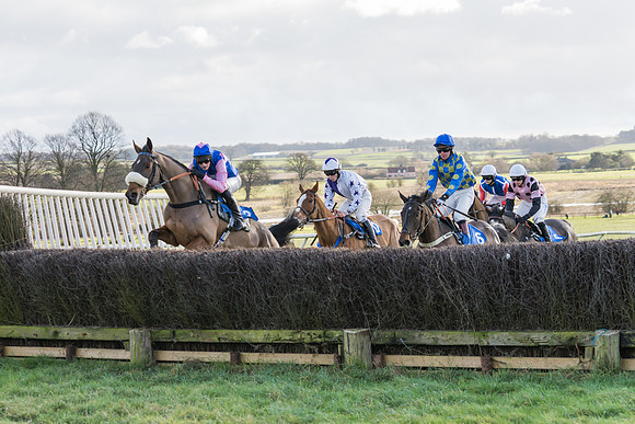 Race 3 - The Mixed Open  (7 of 137)