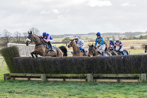 Race 3 - The Mixed Open  (8 of 137)