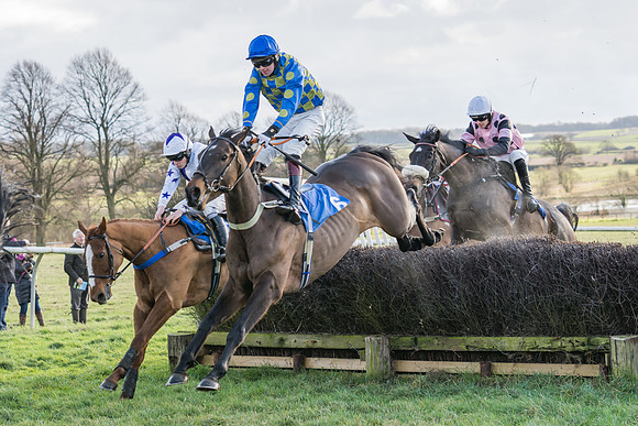 Race 3 - The Mixed Open  (14 of 137)