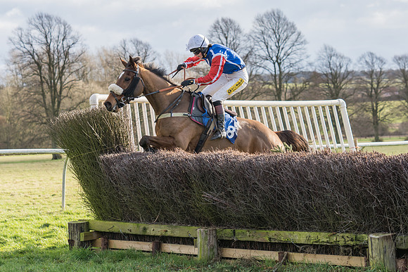 Race 3 - The Mixed Open  (59 of 137)