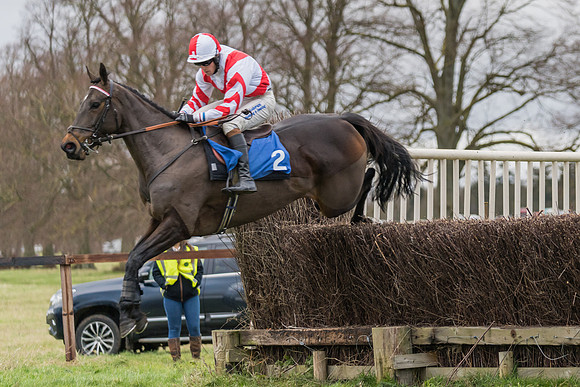 Race 3 - The Mixed Open  (75 of 137)