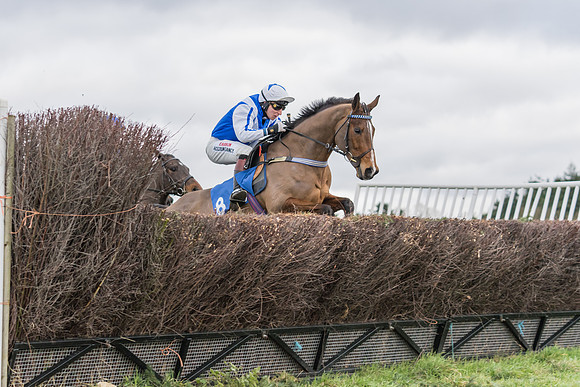 Race 4 - The Restricted  (6 of 43)
