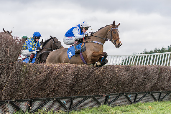 Race 4 - The Restricted  (7 of 43)