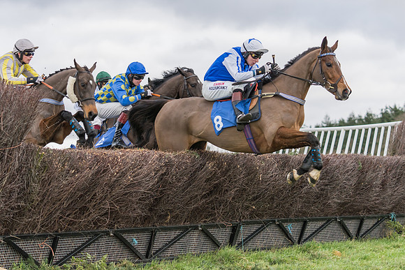 Race 4 - The Restricted  (8 of 43)