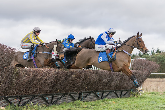 Race 4 - The Restricted  (9 of 43)