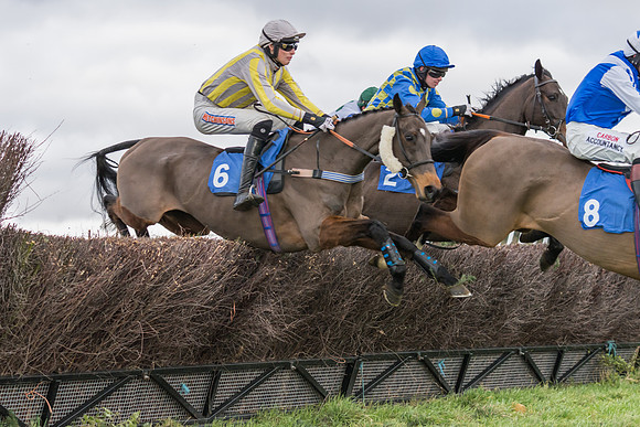Race 4 - The Restricted  (10 of 43)