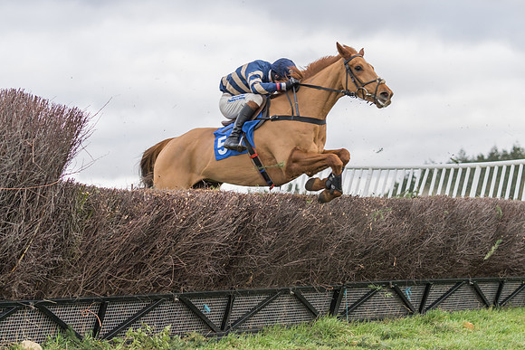 Race 4 - The Restricted  (12 of 43)