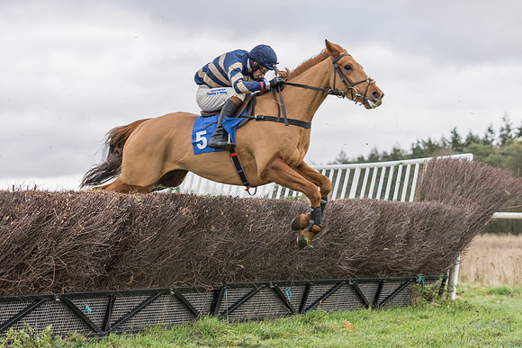Race 4 - The Restricted  (13 of 43)