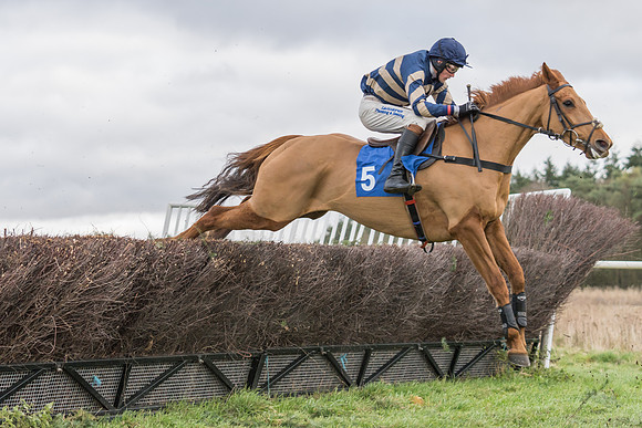 Race 4 - The Restricted  (14 of 43)