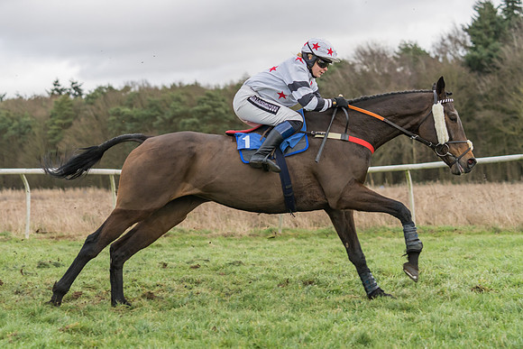 Race 4 - The Restricted  (15 of 43)