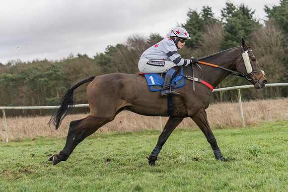 Race 4 - The Restricted  (16 of 43)