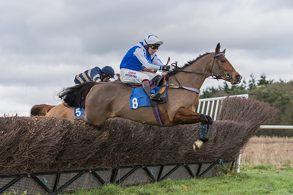 Race 4 - The Restricted  (21 of 43)