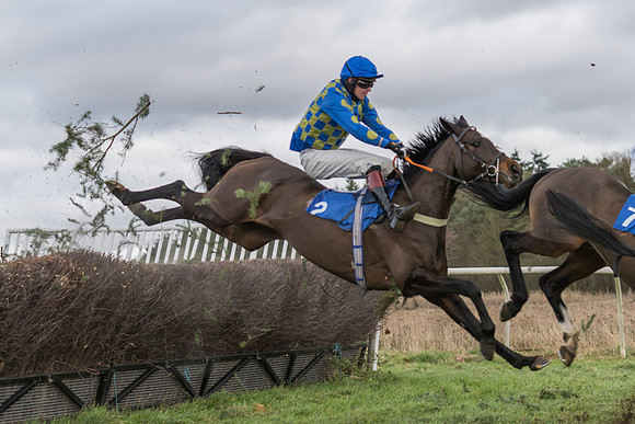 Race 4 - The Restricted  (24 of 43)