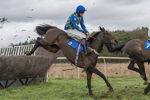 Race 4 - The Restricted  (25 of 43)