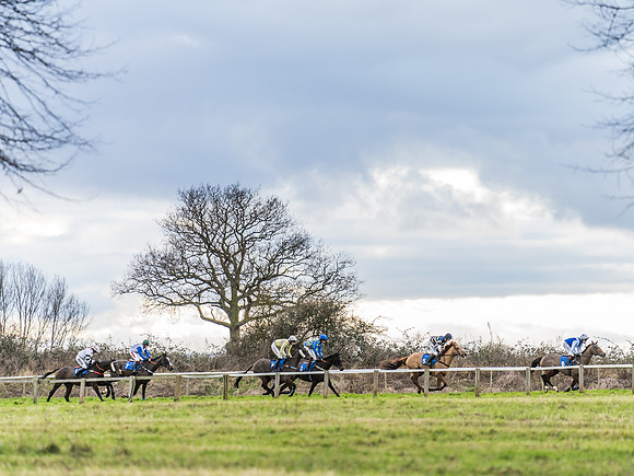 Race 4 - The Restricted  (27 of 43)