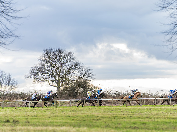 Race 4 - The Restricted  (28 of 43)