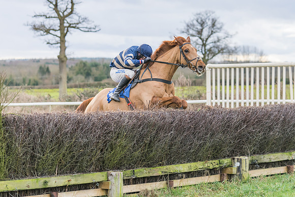 Race 4 - The Restricted  (29 of 43)