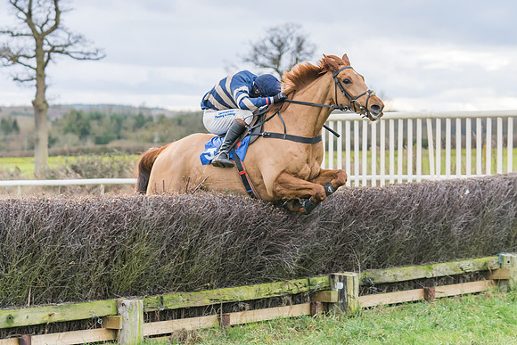 Race 4 - The Restricted  (30 of 43)