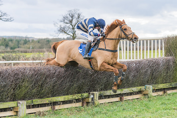 Race 4 - The Restricted  (31 of 43)