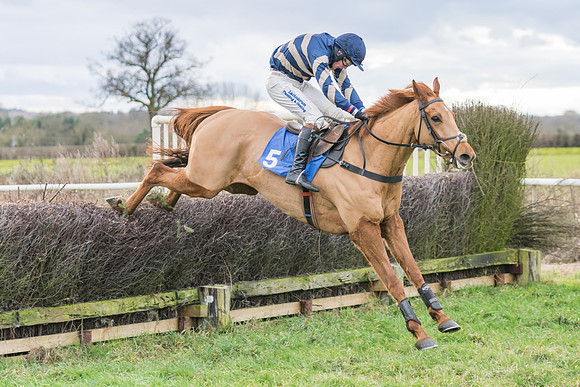 Race 4 - The Restricted  (32 of 43)
