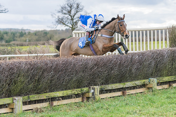 Race 4 - The Restricted  (34 of 43)