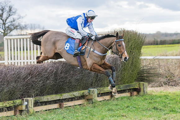 Race 4 - The Restricted  (36 of 43)