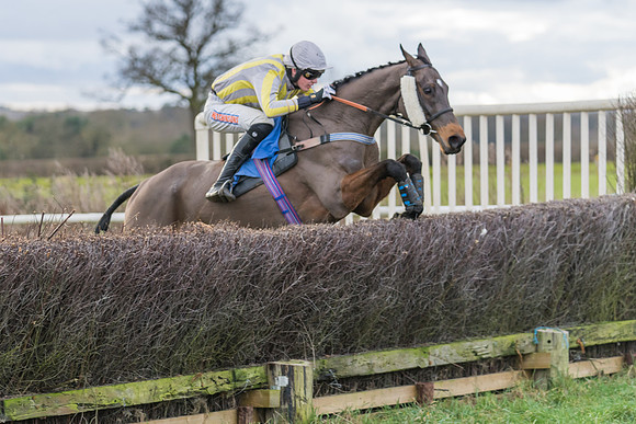 Race 4 - The Restricted  (39 of 43)