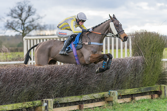 Race 4 - The Restricted  (40 of 43)