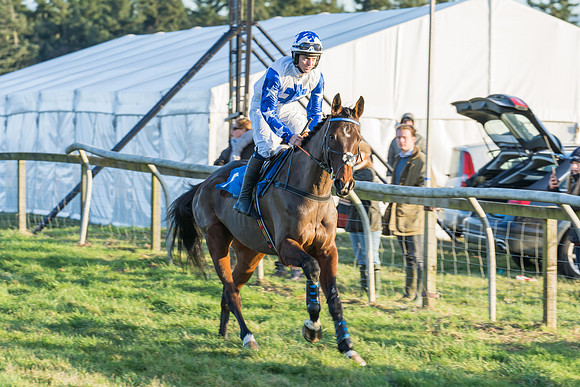 Race 6 - Novice Riders (36 of 142)