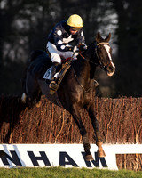 Young Horse Maiden race