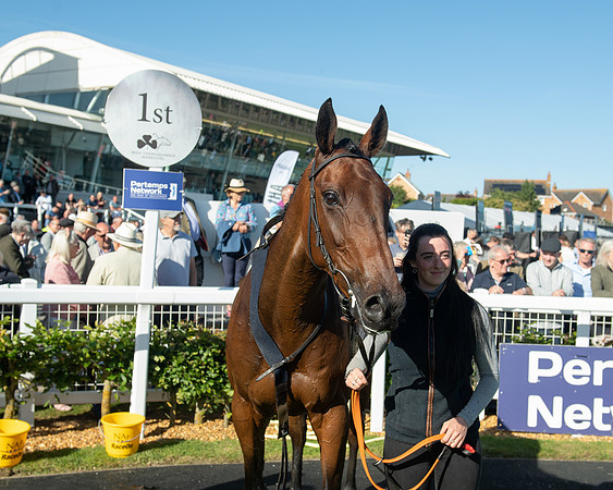 Race 1 - PPSA Open Hunter chase (74 of 78)