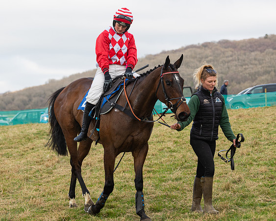 Race 6 - The Restricted Race (172 of 200)
