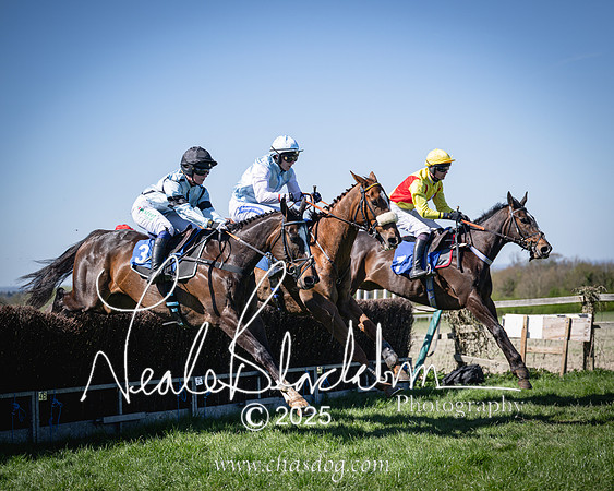 Race 2 - The Maiden (73 of 118)