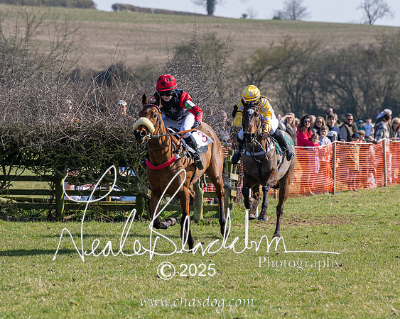 Pony Race 1 - Novice (8 of 38)