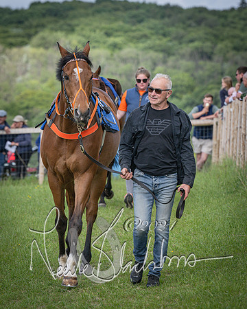 Race 4 - The Dickie Lim Mixed Open Race (7 of 101)