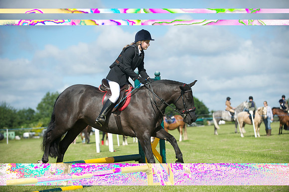 SOHS PC Summer Show at BCA 17th June 2012
