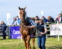 Race 5 - PPORA Five years and over (9 of 163)