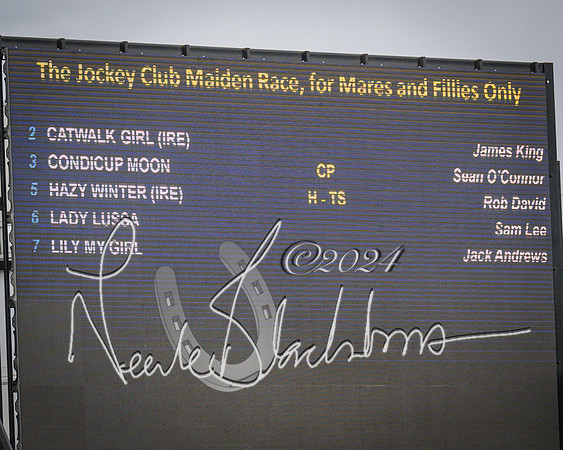 Race 7 - The Jockey Club maiden race for Mares and Fillies only (1 of 96)