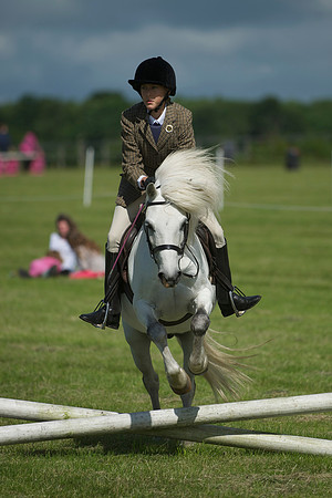 SOHS PC Summer Show at BCA 17th June 2012